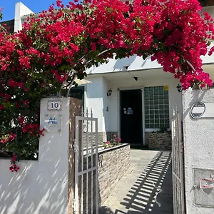 Bing Garden Lisbon